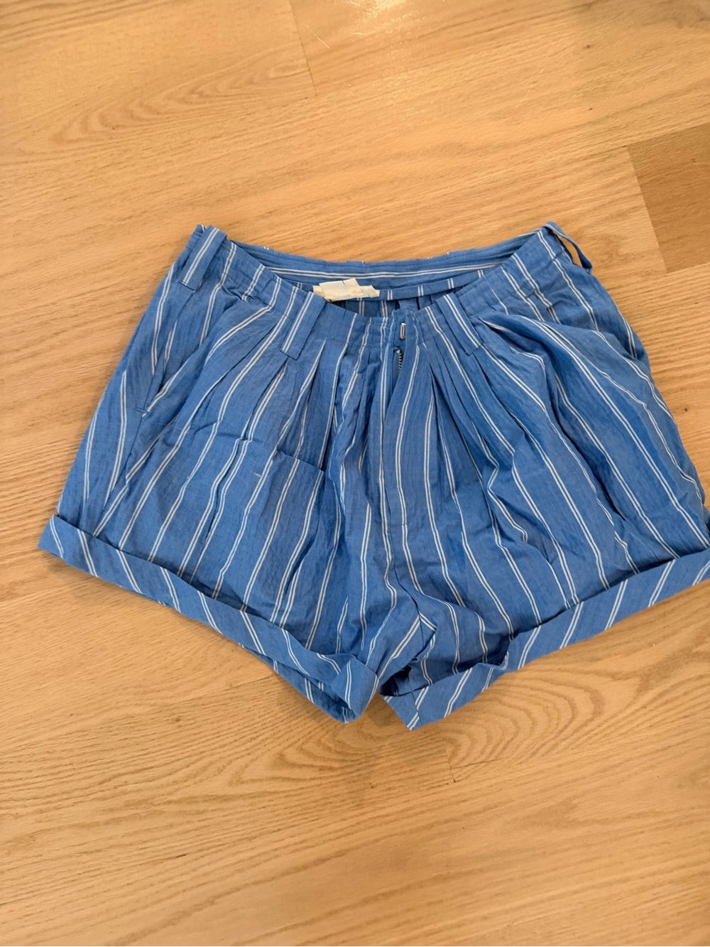 Anthropologie Blue and White Striped High-Waist Pleated Shorts